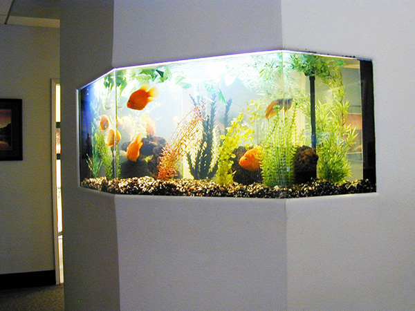 壁挂式鱼缸
